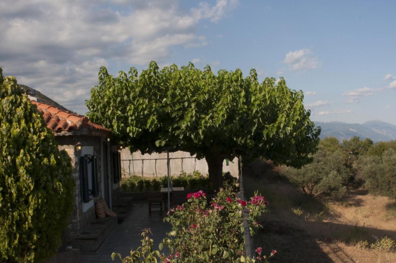 Villa Anna Nafpaktos Exterior foto